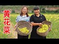 【陕北霞姐】隔壁村子种的金针菜，摘上一篮子凉拌着吃，鲜嫩爽口营养价值高