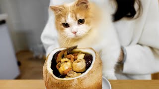 Cooking a chicken with 3 coconuts which makes cats hungry! | SanHua Cat Live