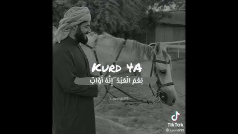 ووهبنا لداوود سليمان | تلاوة خاشعة | رعد الكردي