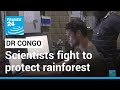 Scientists fight to protect DR Congo rainforest as threats increase • FRANCE 24 English