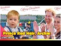 Prince Red Hair, Archie Growing Up More Like Prince Harry / Harry and Meghan latest news