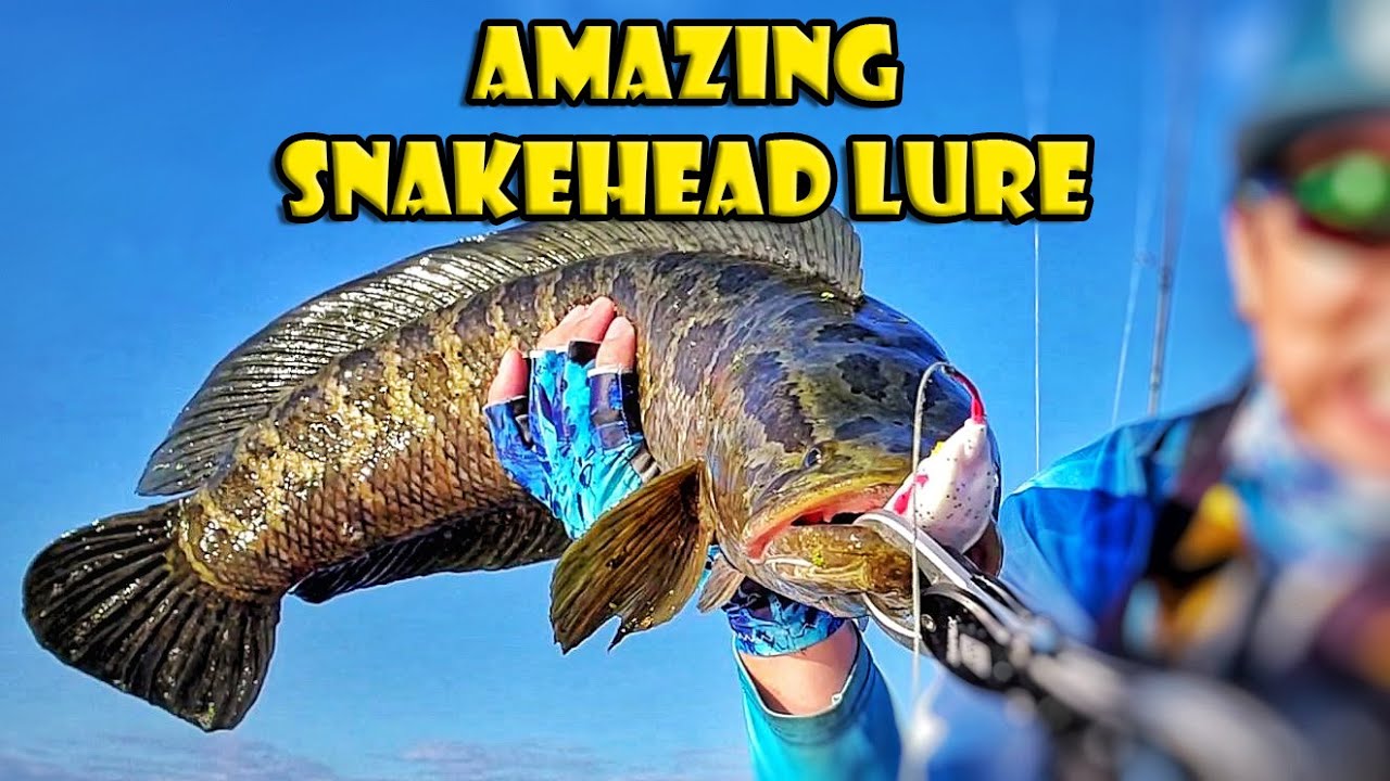 Tsurinoya Numen Frog - Best Snakehead Fishing Lure Review 