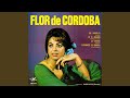 Miniature de la vidéo de la chanson En Romería