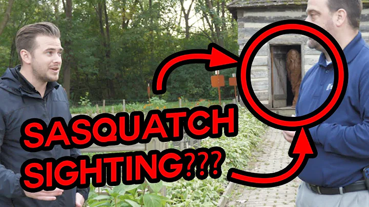 Sasquatch Sighting? An Interview with Frank DeSimo...
