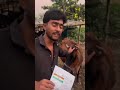gau mata ka adhar banya gaya #newslinekolkata