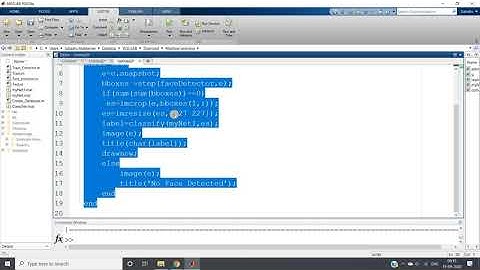 Complete Face Recognition Project Using MATLAB (Data Collection, Model Creation And Testing)