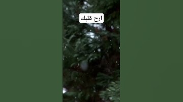 أرح قلبك قليلا واستمع إلى آيات القرآن الكريم