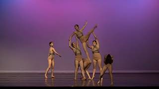 Soft Season - Small Group Contemporary screenshot 2