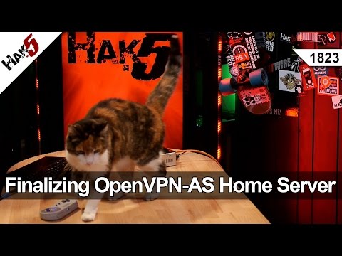 Finalizing the OpenVPN-AS Home Server Build - Hak5 1823