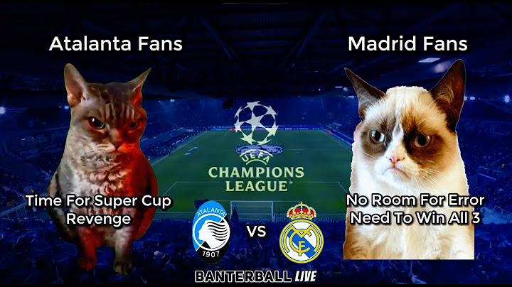 ATALANTA 2-3 REAL MADRID | Cat Memes Highlights | UEFA CHAMPIONS LEAGUE 2024/25