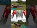 Peito tríceps e ombro Facil e avançado #duet #motivation #sports #atividadefisicaemcasa #exercitese