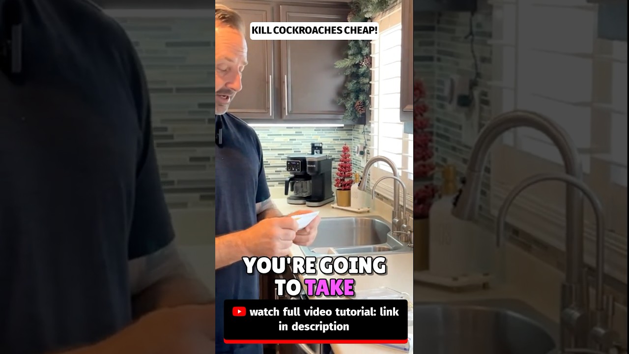 Избавьтесь от тараканов ДЕШЕВО 💸 (МЕНЕЕ 50 ДОЛЛАРОВ!!)