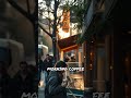 Unseen Guardians: The Secret Life of Street Trees