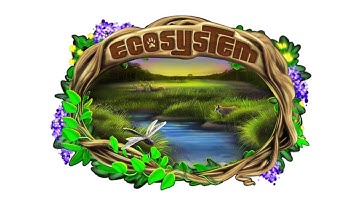 Ecosystem Rules Video