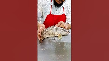 Snowing in Florida This Grouper fish cutting has clean white meat with a subtle sweetness