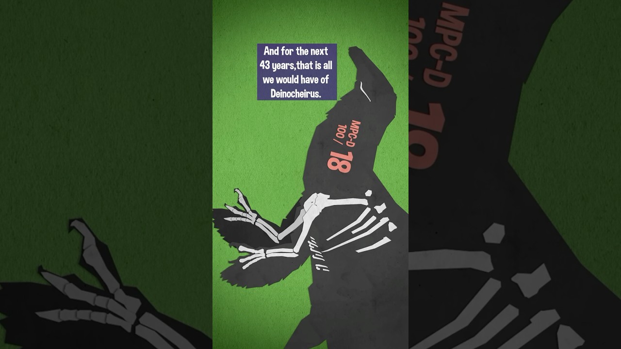 Discovering a Mega Goose (Deinocheirus)