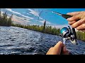 ДА ГДЕ ЖЕ ВЫ ТАКИЕ БЕРЁТЕСЬ?! Рыбалка МЕЧТЫ по ТАЁЖНЫМ РЕЧУШКАМ