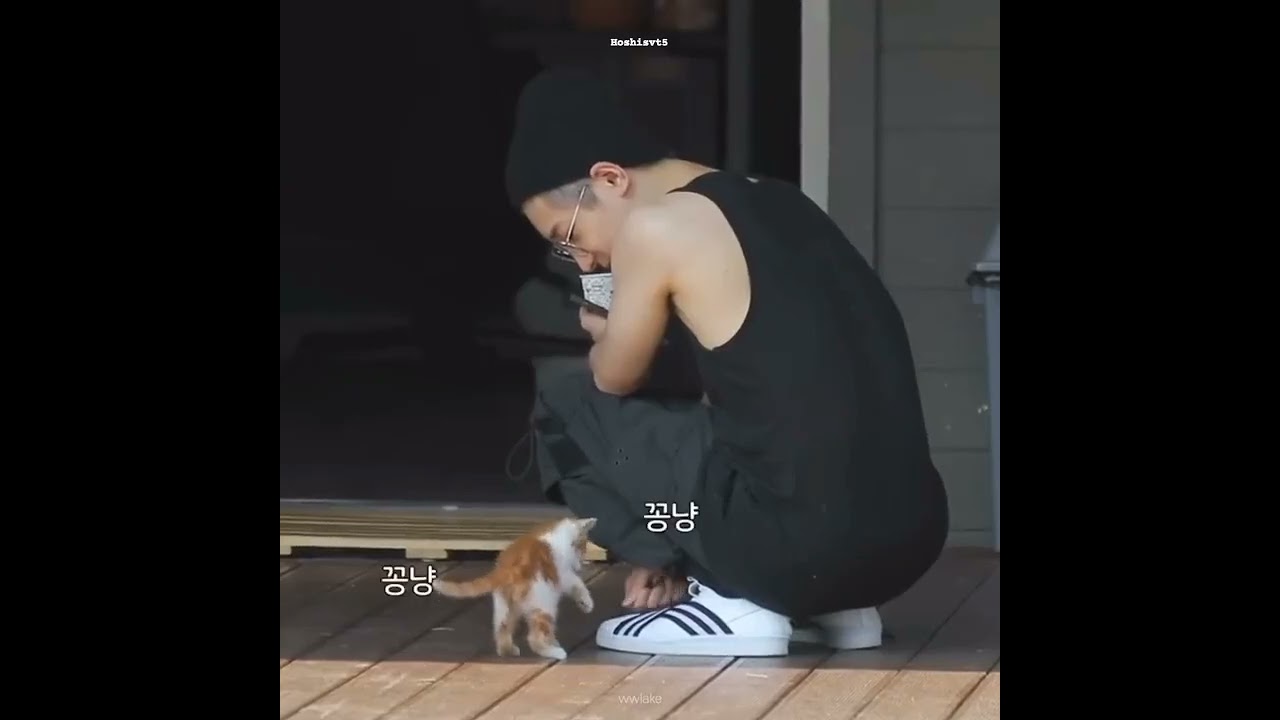 Obejrzyj Wonwoo Cat 🐈😃(Happy Wonwoo day🎂🎉) #wonwoo #hoshi #seventeen #carat #shorts #tiktok #kpop #svt w YouTube Obejrzyj Wonwoo Cat 🐈😃(Happy Wonwoo day🎂🎉) #wonwoo #hoshi #seventeen #carat #shorts #tiktok #kpop #svt w YouTube