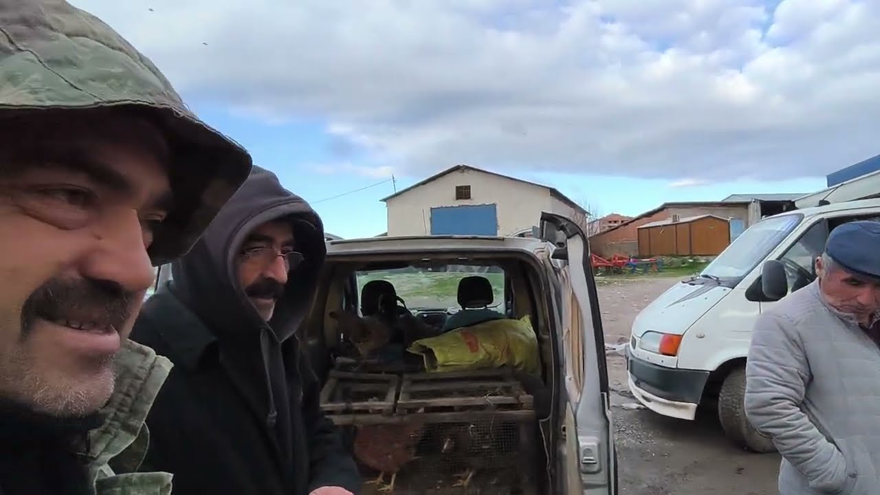 ÇORUM SUNGURLU TAVUK PAZARI 19 ŞUBAT 2026