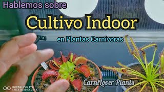 Sistema Indoor de Cultivo dentro de casa para Plantas Carnívoras - CarniLover Plants HYO