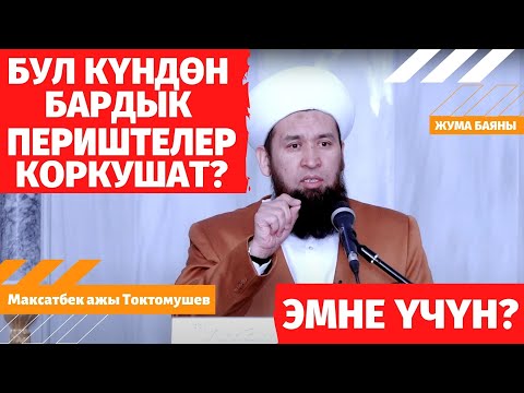 Video: Бурама эмне үчүн пайдалуу?