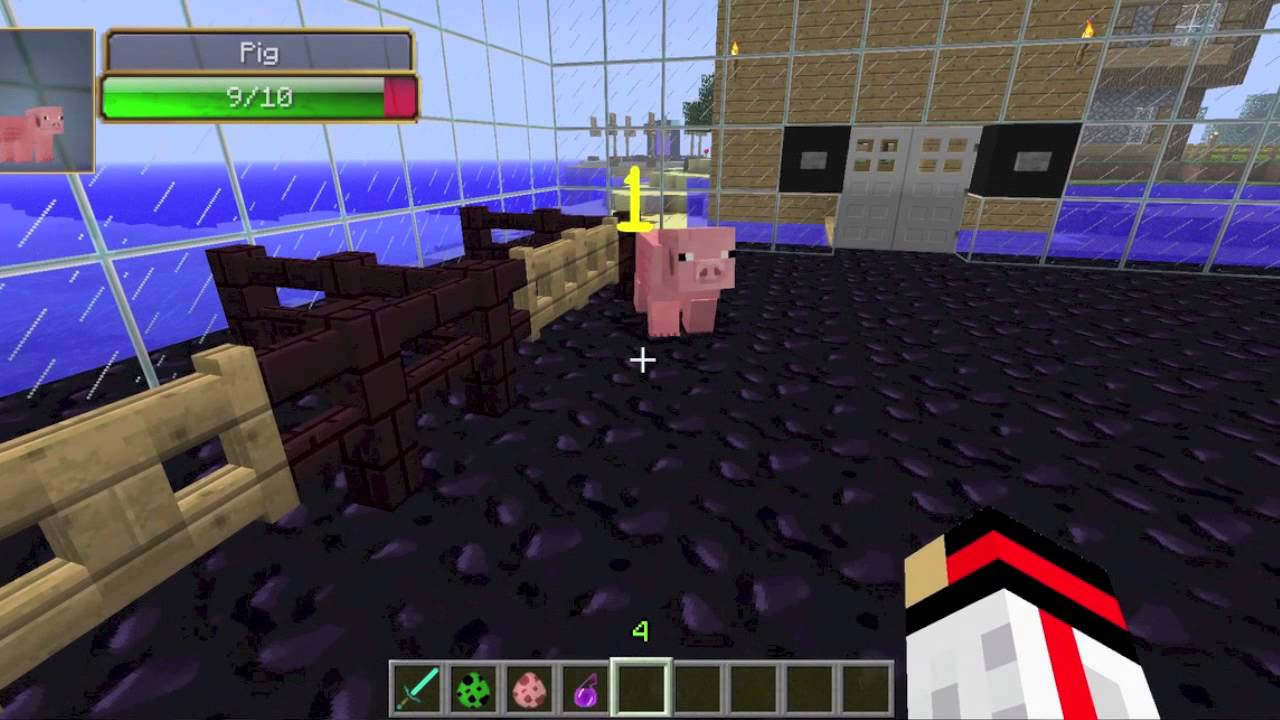 Minecraft Mod Review #1 Damage Indicators Mod