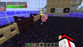 Minecraft Mod Review #1 Damage Indicators Mod
