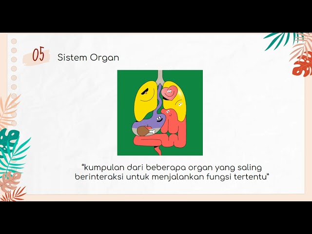 VIDEO PEMBELAJARAN RUANG LINGKUP BIOLOGI class=