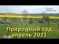 Природный сад и огород апрель 2021