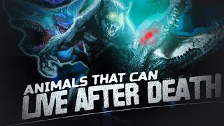 ANIMALS THAT CAN LIVE AFTER DEATH  LIFE AFTER DEATH