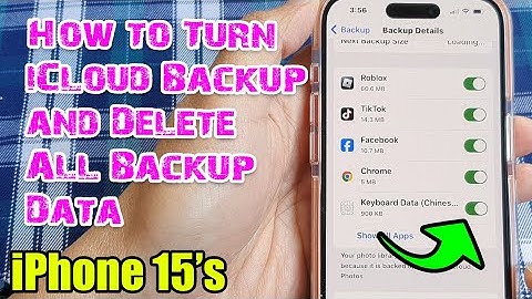 iPhone 15/15 Pro Max: How to Turn iCloud Backup and Delete All Backup Data