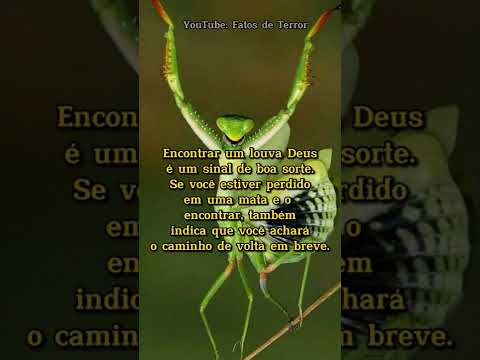 SIGNIFICADO ESPIRITUAL DO