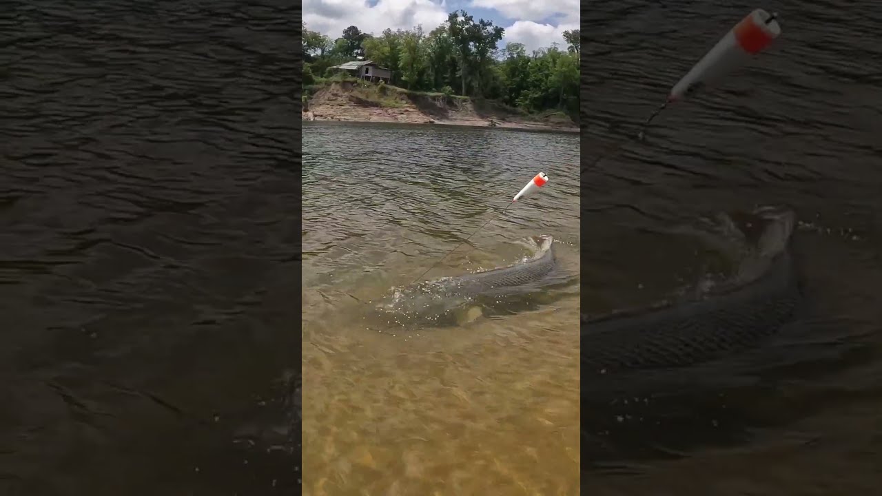 Does BIG Bait EQUAL Big FISH Find Out Personal BEST 