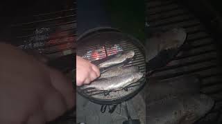 гриль на кожен день. форель на грилі #bbq #гриль #форель #ужин