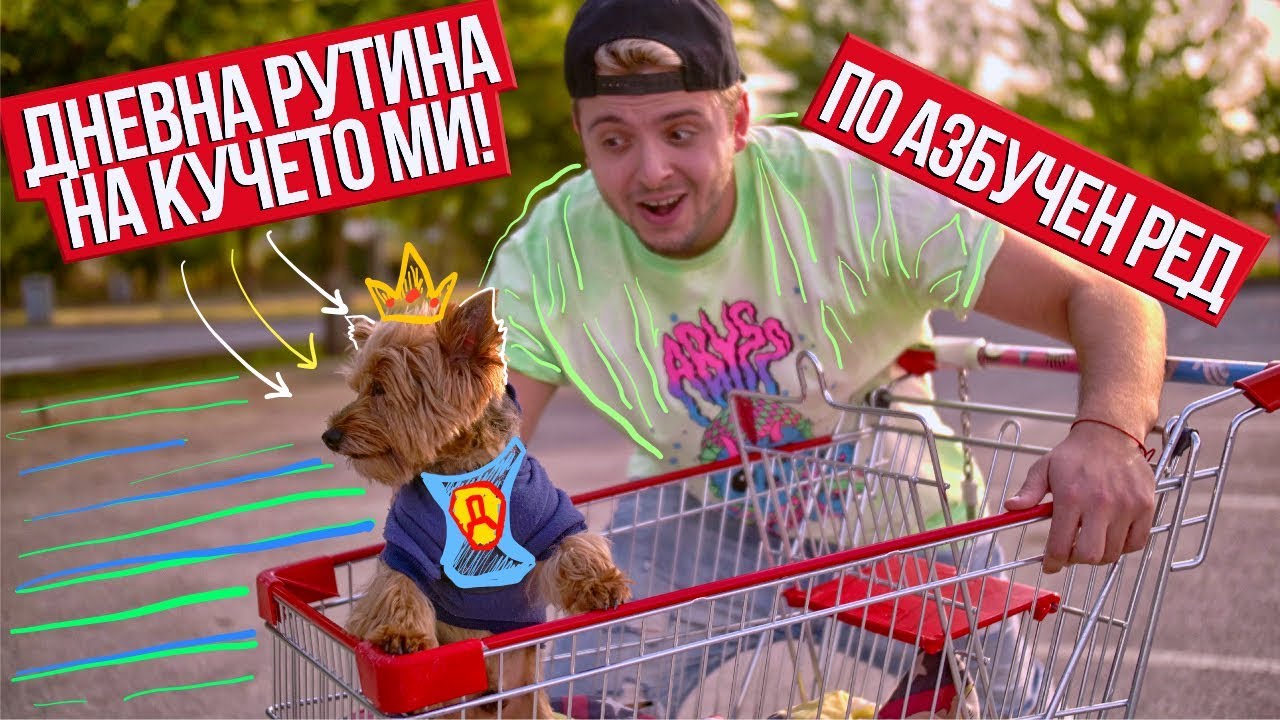 ДНЕВНА РУТИНА В АЗБУЧЕН РЕД НА КУЧЕТО МИ CHALLENGE!