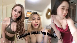 Asupan Belah Kenikmatan King