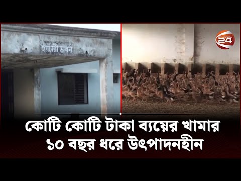 এক দশকেও বাচ্চা উৎপাদনে যেতে পারেনি হবিগঞ্জ আঞ্চলিক হাঁস প্রজনন খামার |  Duck Farm | Channel 24