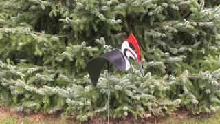 Florida Dancing Birds® Pileated Woodpecker Art