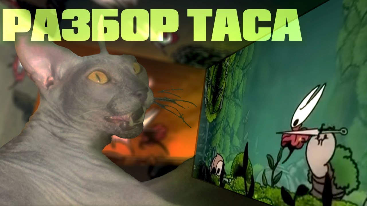 Смотрим тасы и спидраны Силксонга