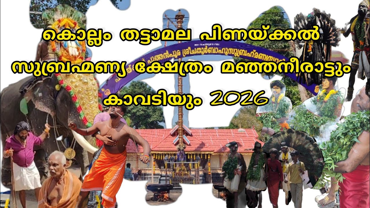 മഞ്ഞ നീരാട്ടും കാവടിയും #2k26 #ulsavam #temple #murukan #kollam #festival #meppattumedia #trnding 