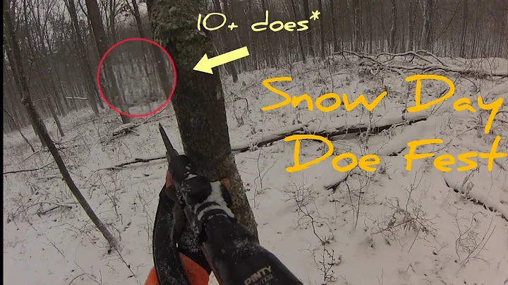 Still Hunting In a Blizzard (6 DEER IN ONE DAY!!!)