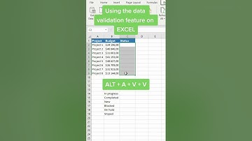 Data Validation in Excel (with example)