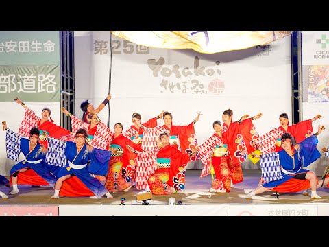 [4K] ひがしかぐら東神酔華の舞　YOSAKOIさせぼ祭り 2023 日曜日 ファイナル (中央)