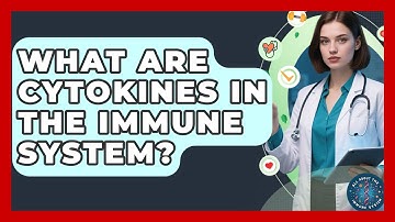 What Are Cytokines In The Immune System? - All About the Immune System