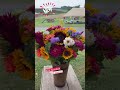 a MUST- DO Flower Picking at Triple B Farms