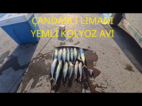 ÇANDARLI LİMANI YEMLİ