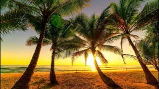 Pop Punk Summer Playlist 2022 | Summer Mix 2022
