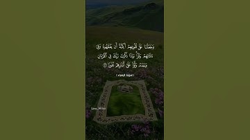 بسم الله الرحمن الرحيم 💚 #reels #اكسبلور #quran #الله #راحة_نفسية #قرآن #القرآن_الكريم #تجويد #تلاوة