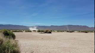 Dust devils on a playa in Nevada
