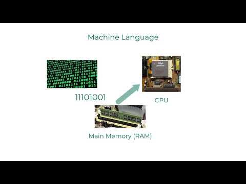 1.2 Introduction to Programming